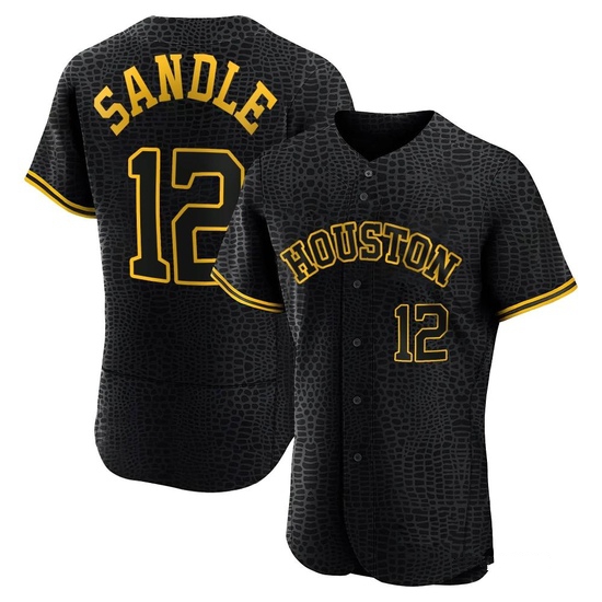 Men's Michael Sandle Houston Astros Authentic Black Snake Skin City Jersey