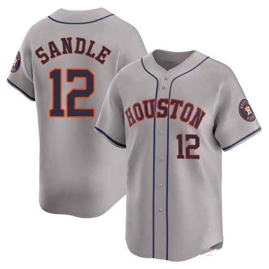Youth Michael Sandle Houston Astros Limited Gray Away Jersey