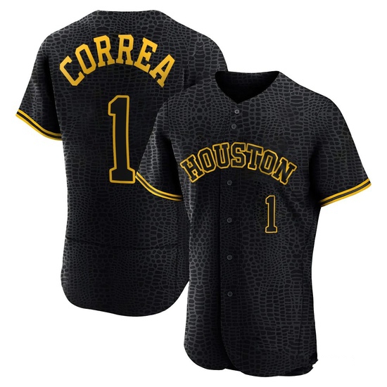 Men's Carlos Correa Houston Astros Authentic Black Snake Skin City Jersey