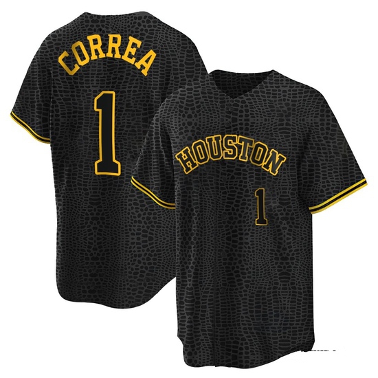 Youth Carlos Correa Houston Astros Replica Black Snake Skin City Jersey